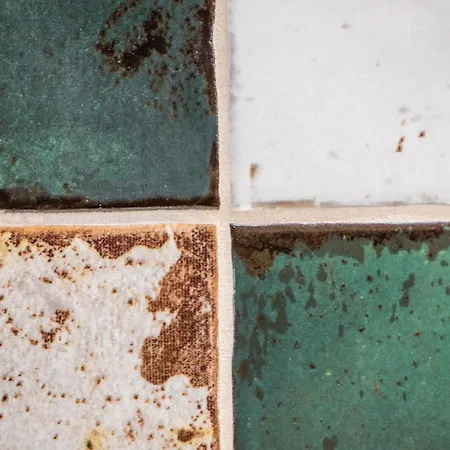 Mikolowska Z Tarasem