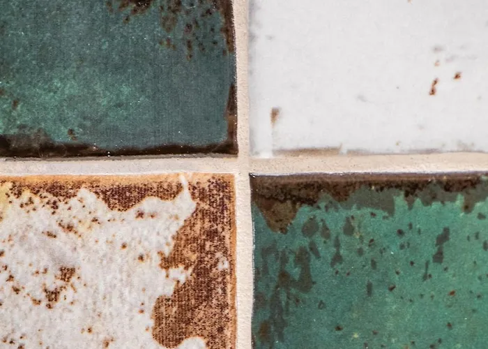 Mikolowska Z Tarasem